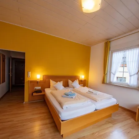 Hotel Zum Moselstrand Briedern Extérieur photo