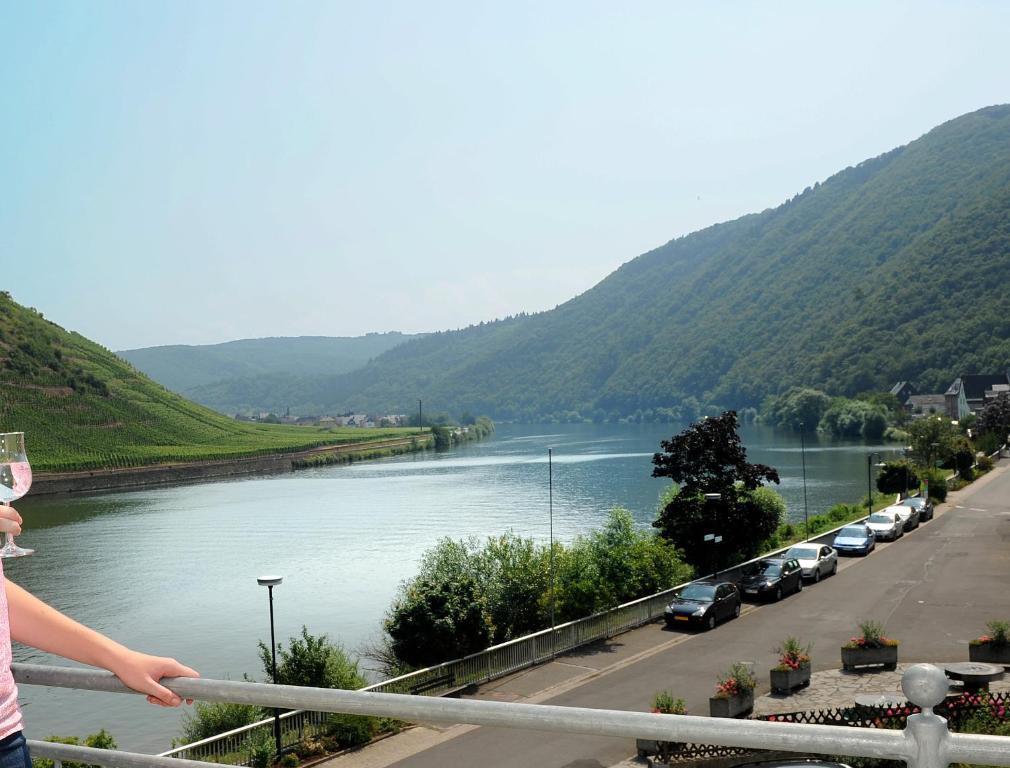 Hotel Zum Moselstrand Briedern