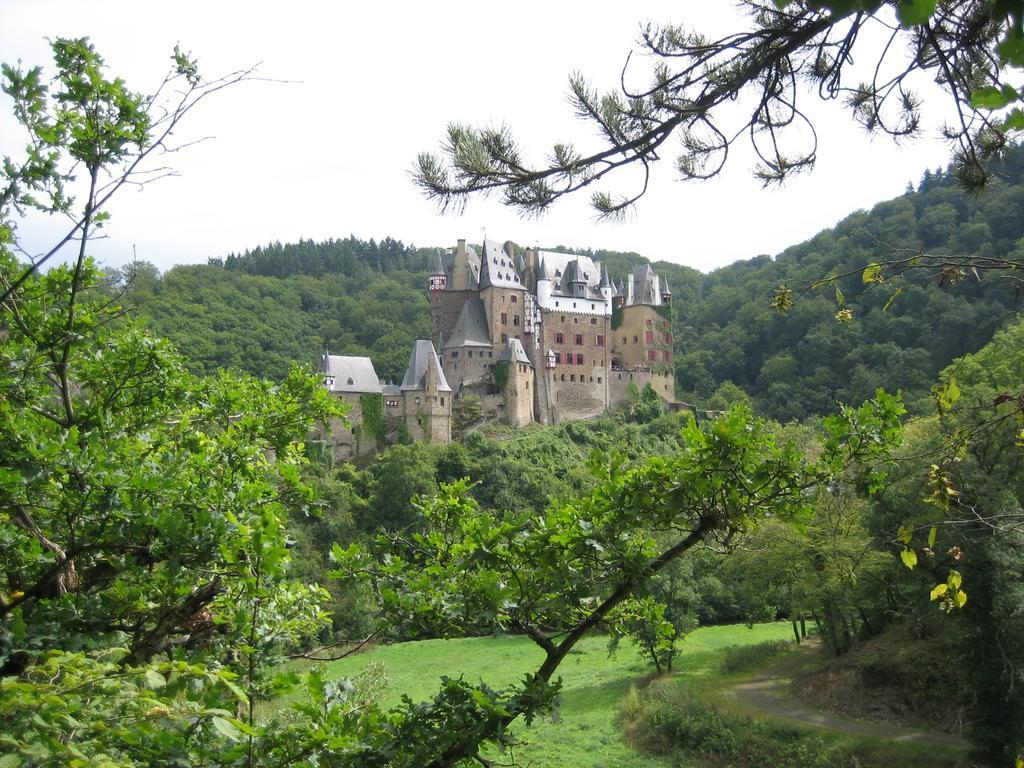 Zum Moselstrand Hotel